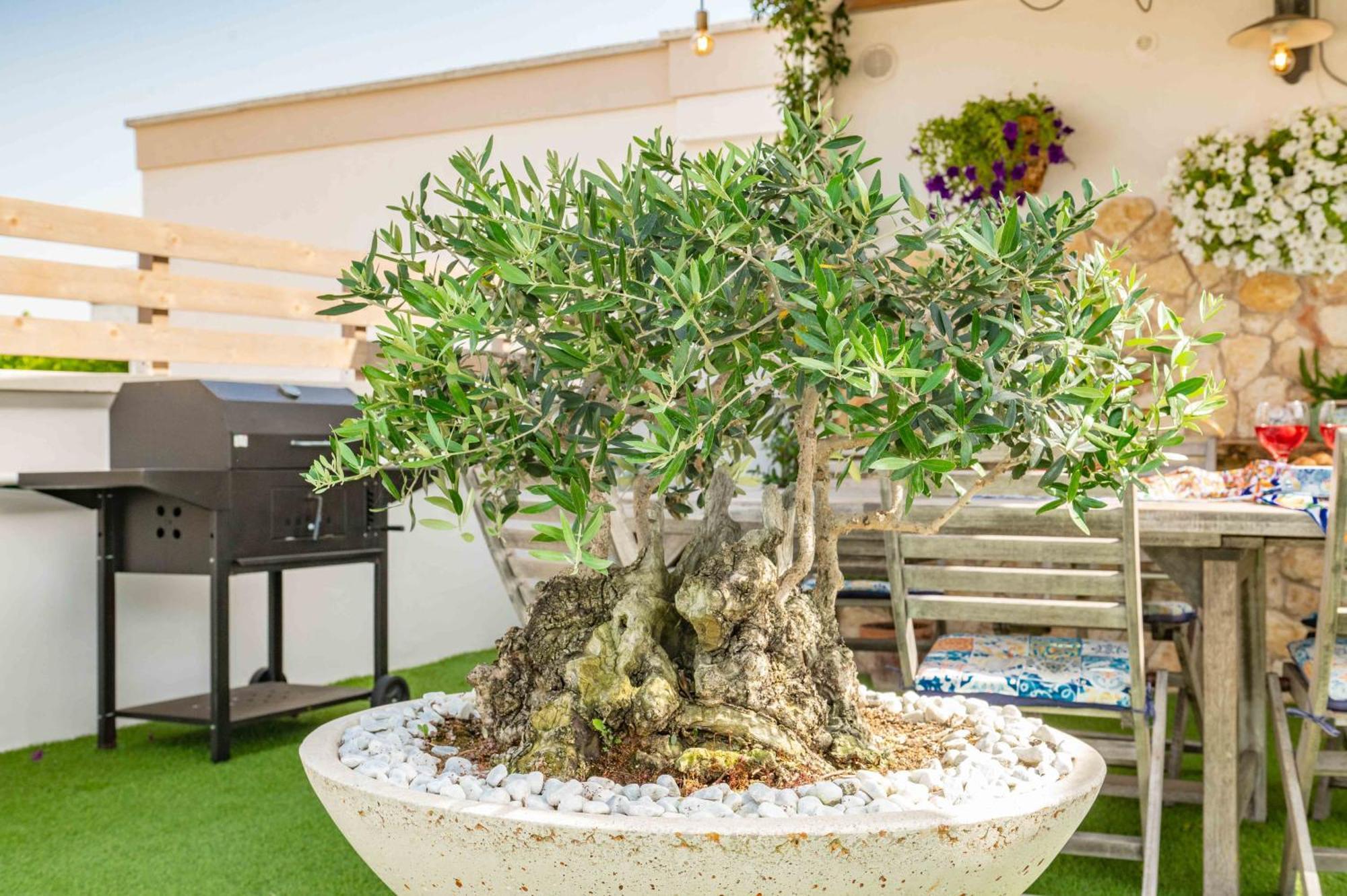 Il Panoramico Holiday home Neviano
